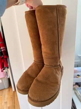 UGG Classic Tall Suede Winter Boots - Chestnut Brown